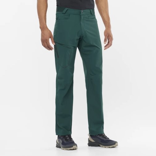 Green Salomon Wayfarer Men's Sport Pants | PH 79428R